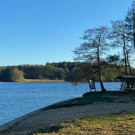 Ferienhaus Tiny House Mit Sauna Am *